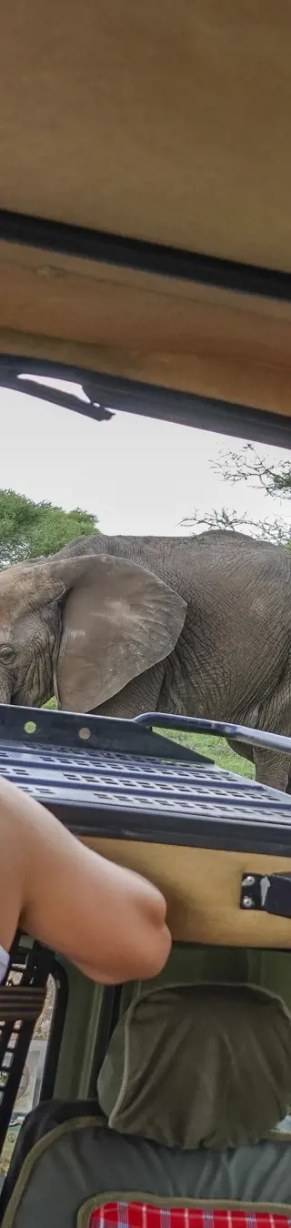 Jeep-Safari in Afrika